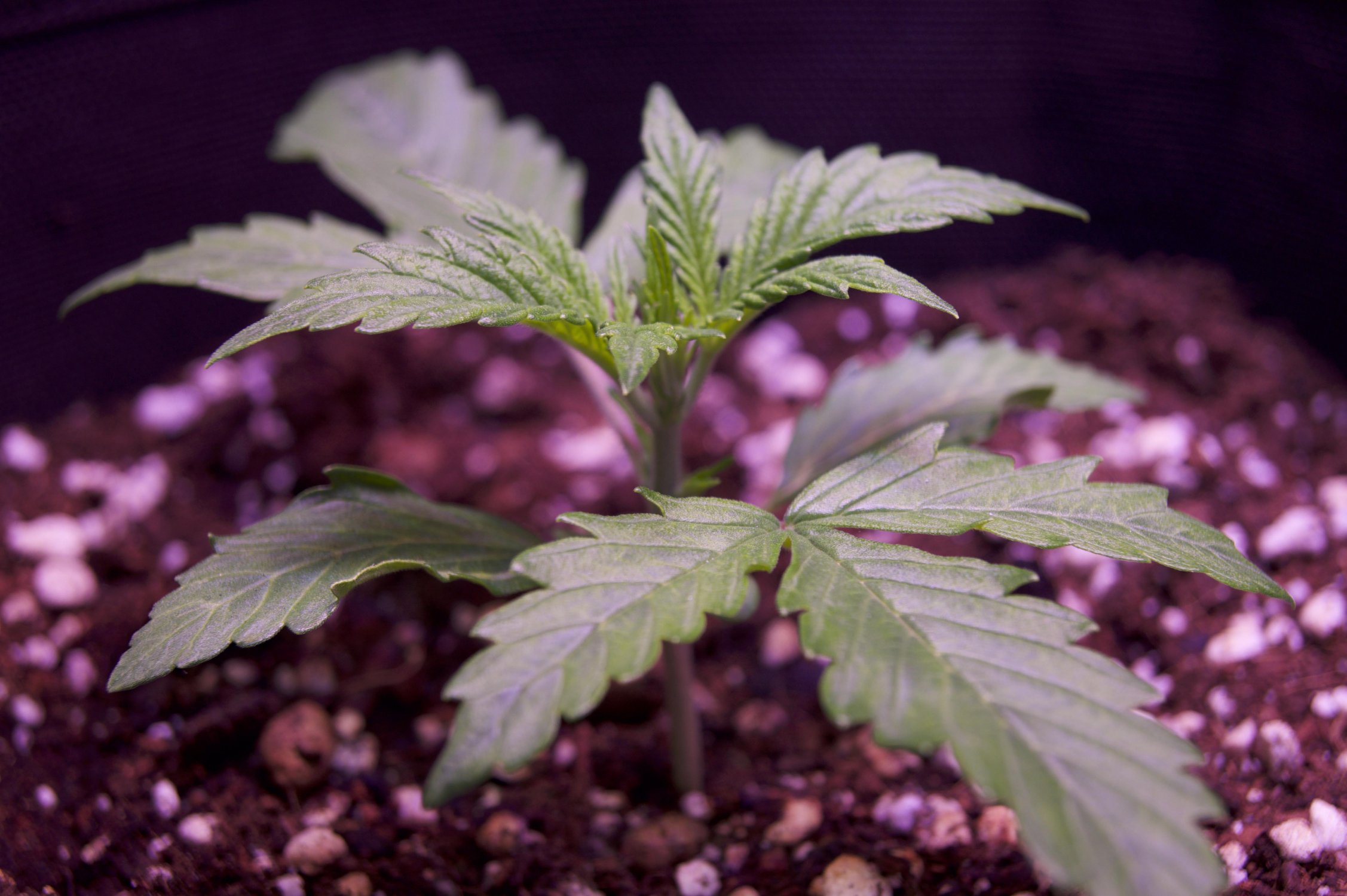 DSC04352.jpeg DSC04352.jpeg