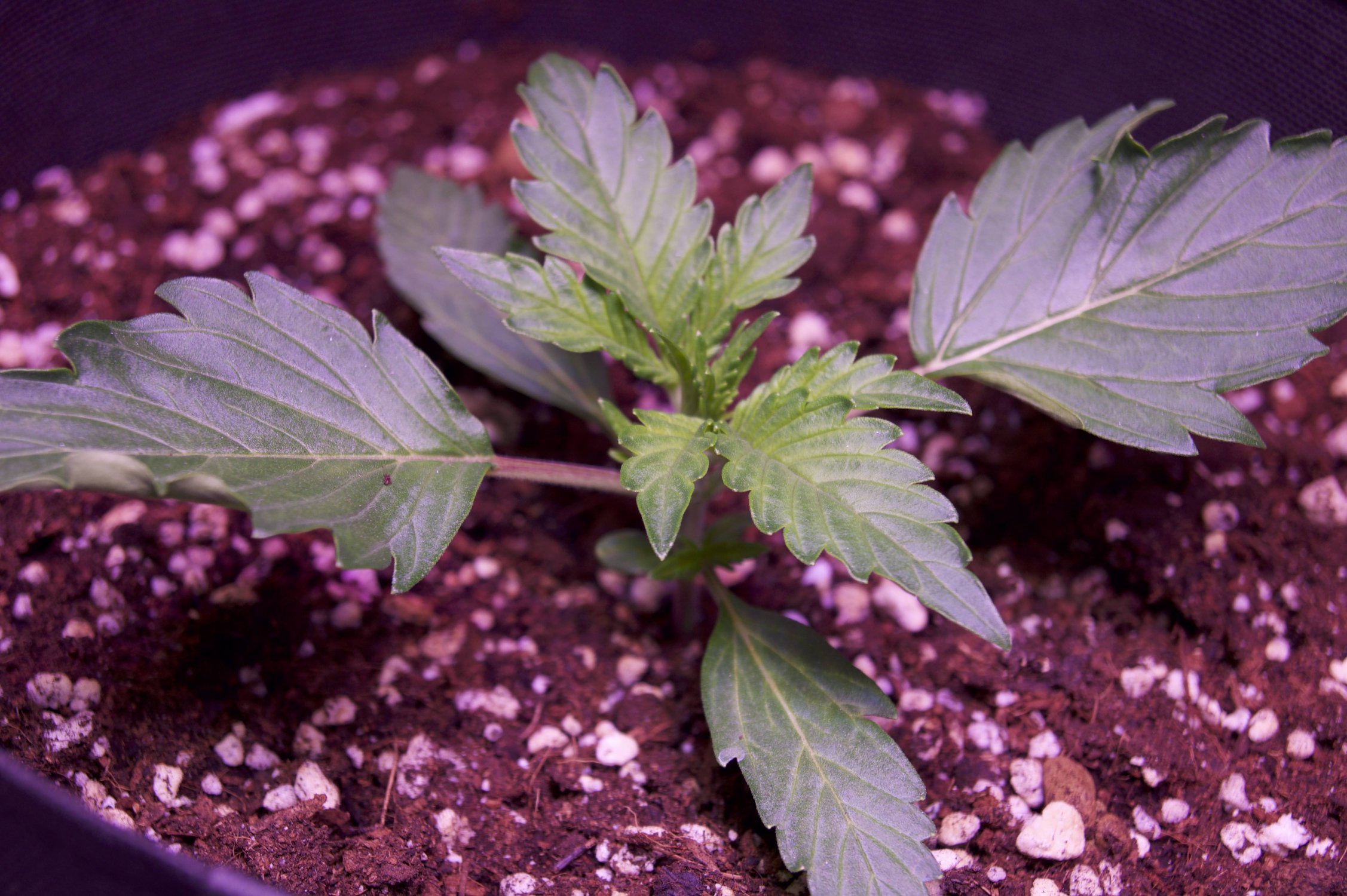 DSC04356.jpeg DSC04356.jpeg