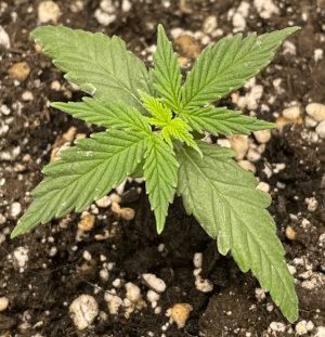 16.02.2023.png 16.02.2023.png