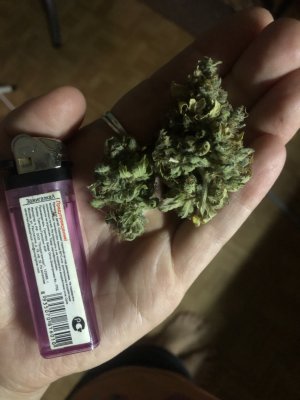 8336DAD1-ED32-431C-98A7-3C3FA72CE9F2.jpeg 8336DAD1-ED32-431C-98A7-3C3FA72CE9F2.jpeg