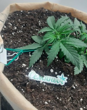 20230217_084934.jpg 20230217_084934.jpg