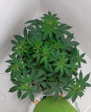 20230217_085322.jpg 20230217_085322.jpg