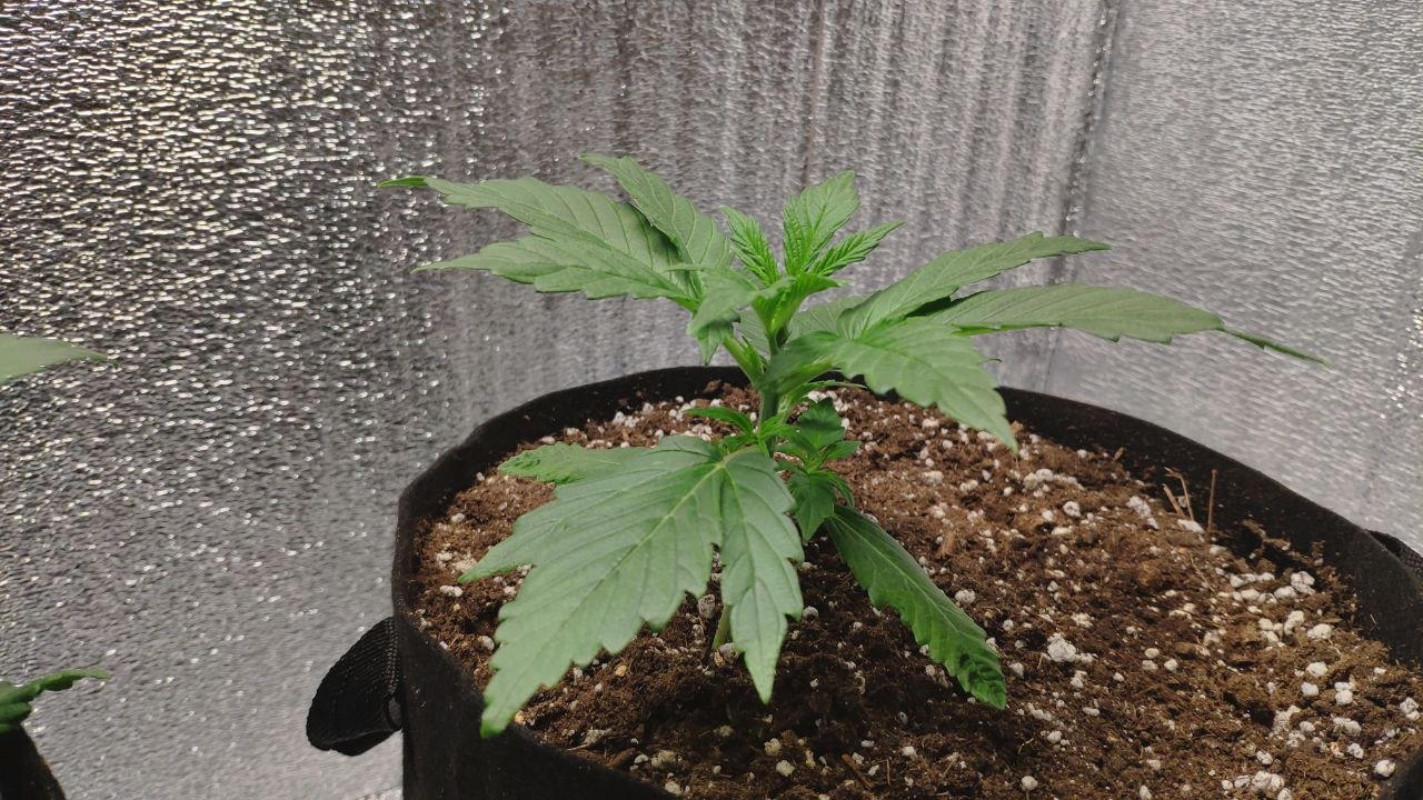 17 photo_2023-02-17_16-31-16.jpg 17 photo_2023-02-17_16-31-16.jpg