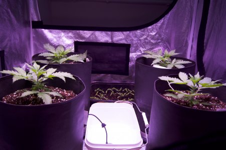 DSC04371.jpeg DSC04371.jpeg