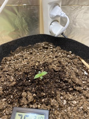 AF99B5A5-19E7-41ED-AF2B-3BD7891B1677.jpeg AF99B5A5-19E7-41ED-AF2B-3BD7891B1677.jpeg