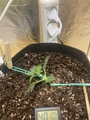 54EC8895-F3AB-4F69-A25F-9C32749E9941.jpeg 54EC8895-F3AB-4F69-A25F-9C32749E9941.jpeg