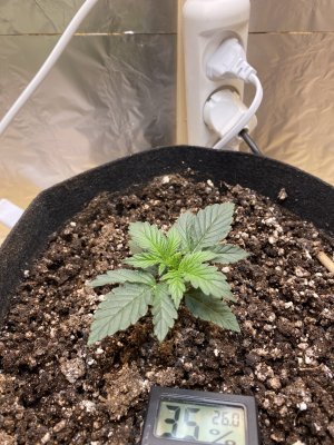 D9F13805-C80A-448E-88EB-5D21E9B10658.jpeg D9F13805-C80A-448E-88EB-5D21E9B10658.jpeg