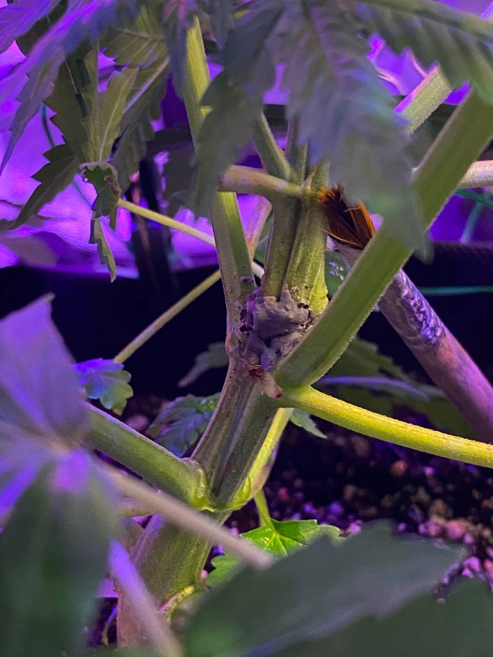 photo1676739698 (4).jpeg photo1676739698 (4).jpeg