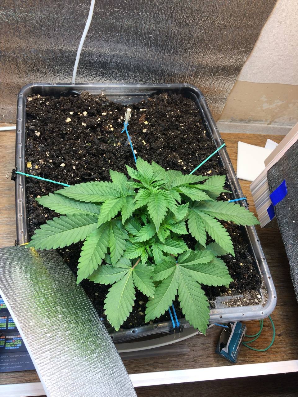 IMG_20230218_190031_275.jpg IMG_20230218_190031_275.jpg