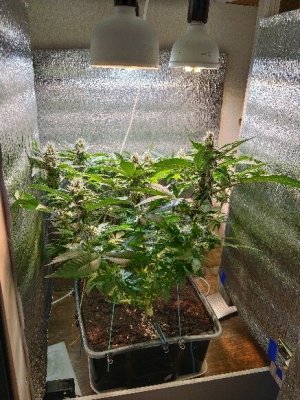 1000000304.jpg 1000000304.jpg