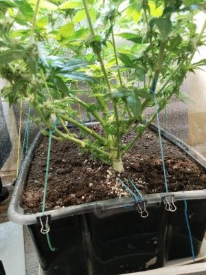 1000000300.jpg 1000000300.jpg