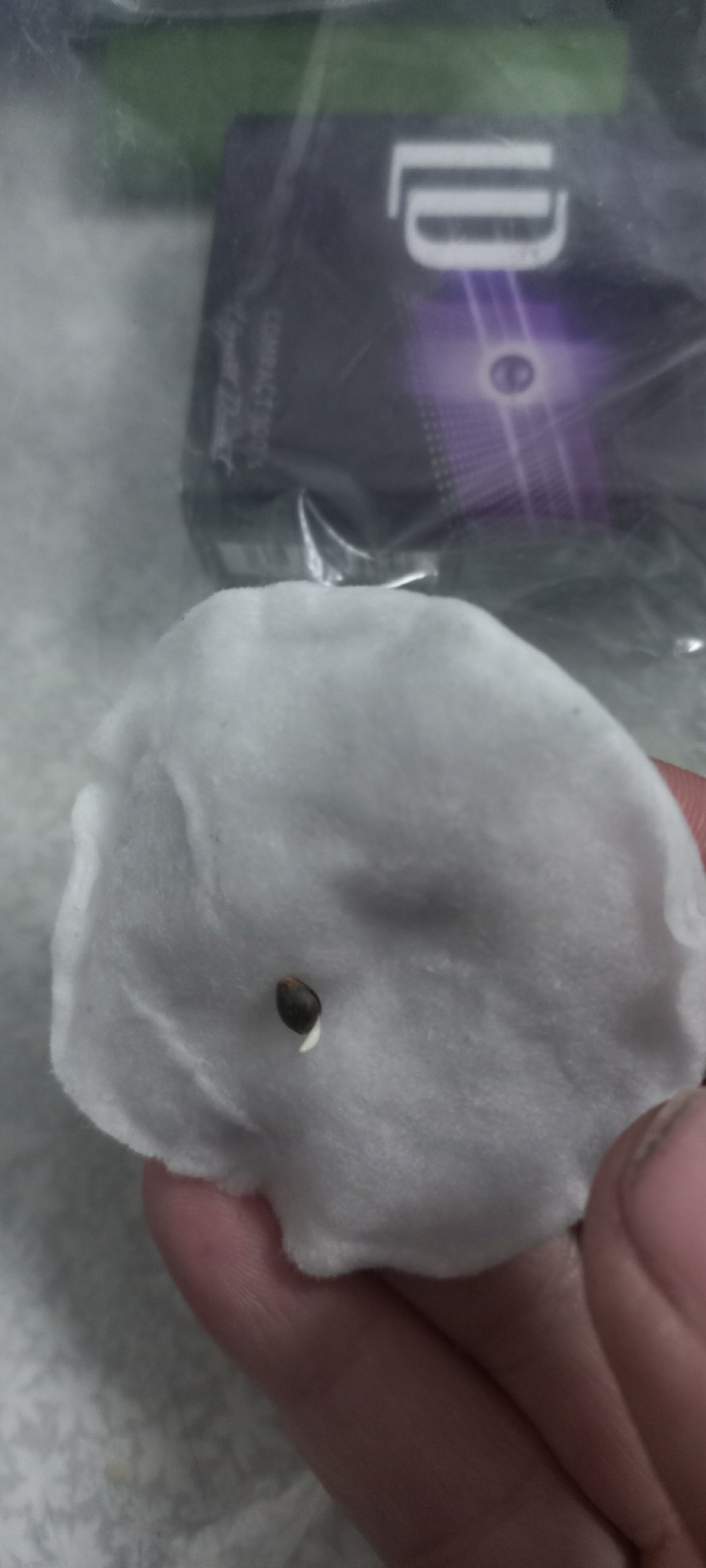 BDUN1Z_1DI8.jpg BDUN1Z_1DI8.jpg