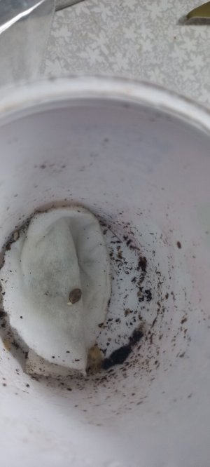 fBFHW3nW6x8.jpg fBFHW3nW6x8.jpg