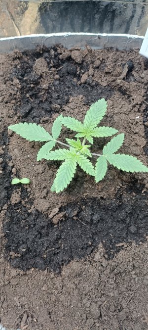 IMG_20230219_084749.jpg IMG_20230219_084749.jpg