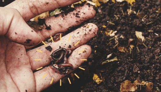 1676902366368.png 1676902366368.png