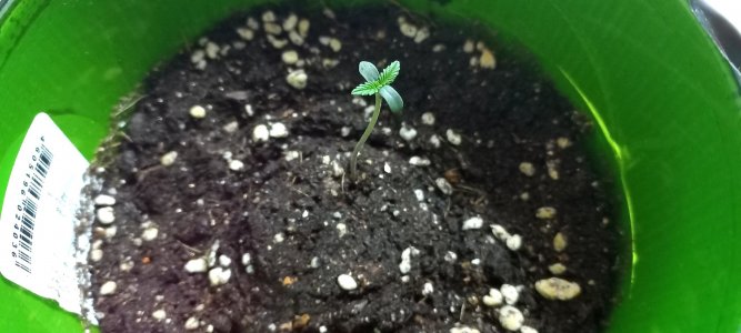 _nG1WezD8W8.jpg _nG1WezD8W8.jpg