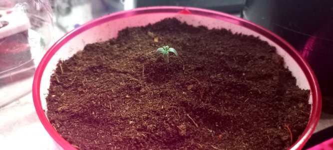 cU9YwCiEGf4.jpg cU9YwCiEGf4.jpg