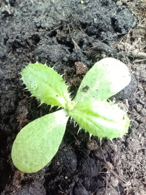 IMG_20230223_084912.jpg IMG_20230223_084912.jpg