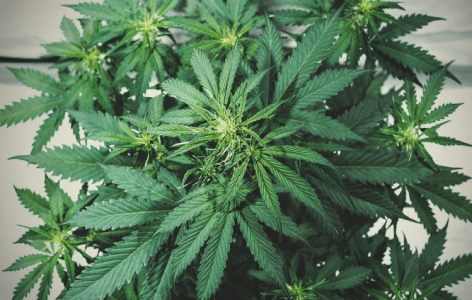 1677181815701.png 1677181815701.png