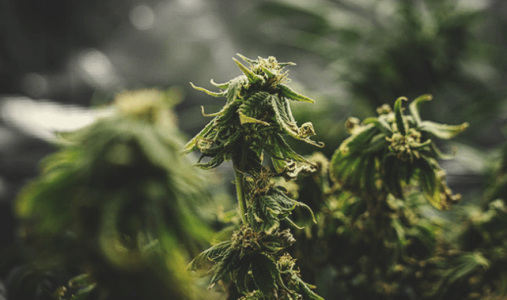 1677181879758.png 1677181879758.png