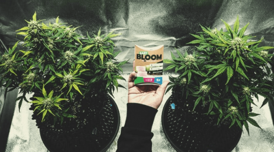 1677182072745.png 1677182072745.png