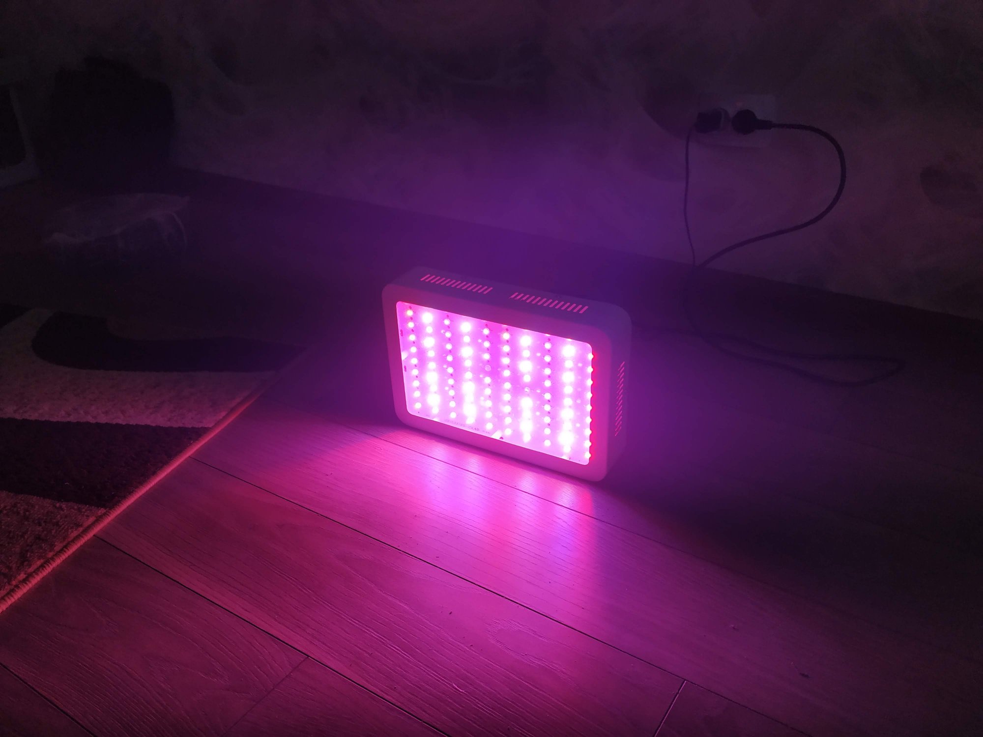 IMG_20190601_150624.jpg IMG_20190601_150624.jpg