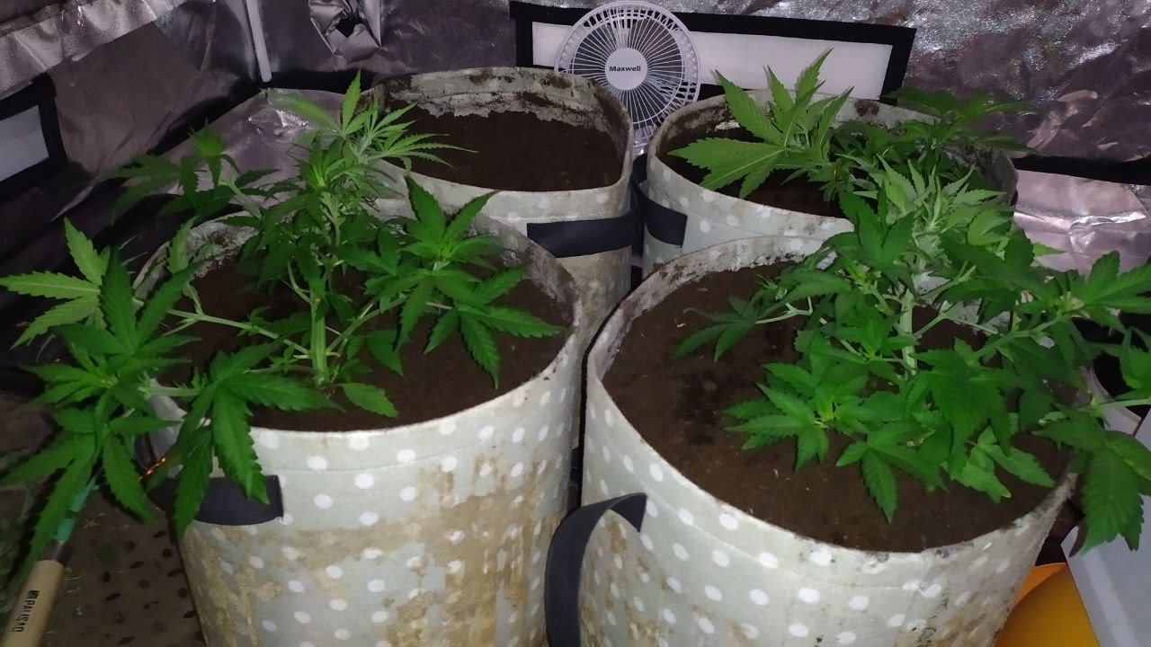 photo_2023-02-23_14-52-59.jpg photo_2023-02-23_14-52-59.jpg