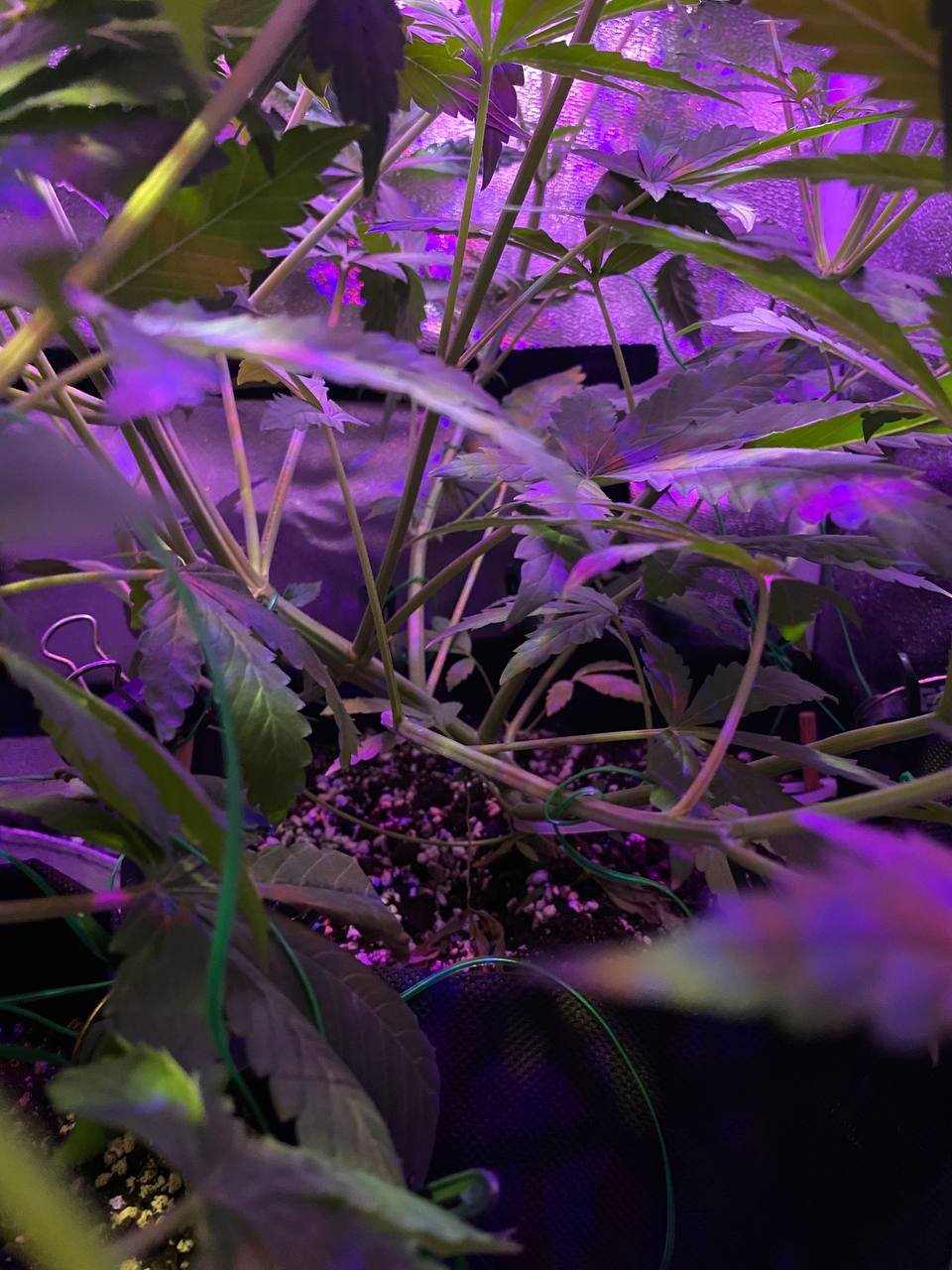 photo1677430783 (3).jpeg