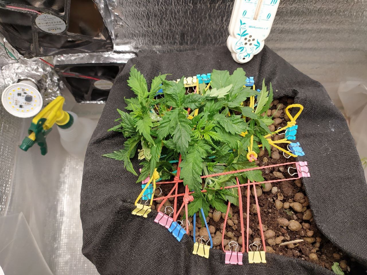 photo_2023-02-27_18-18-40.jpg photo_2023-02-27_18-18-40.jpg