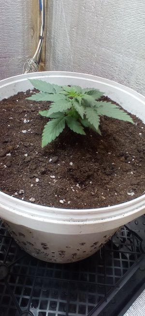 IMG_20230228_093055.jpg IMG_20230228_093055.jpg