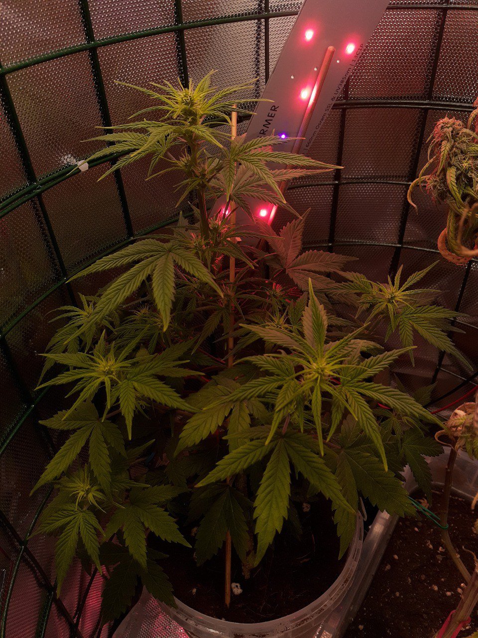 photo_2023-02-28_15-20-31 (2).jpg