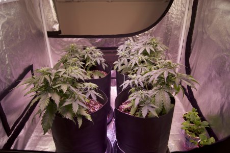 DSC04438.jpeg DSC04438.jpeg