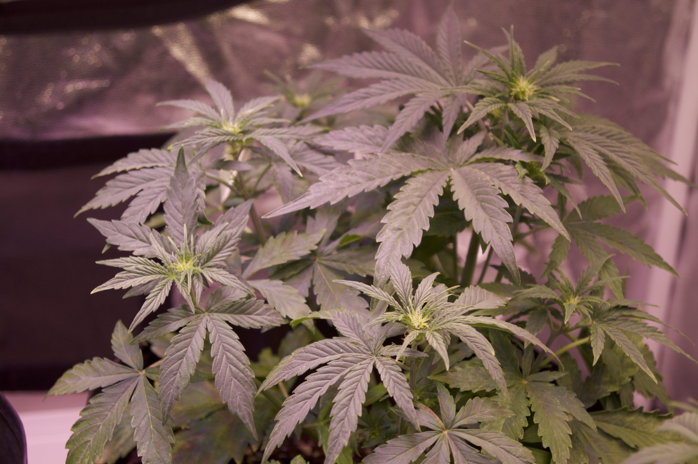 DSC04443.jpeg DSC04443.jpeg