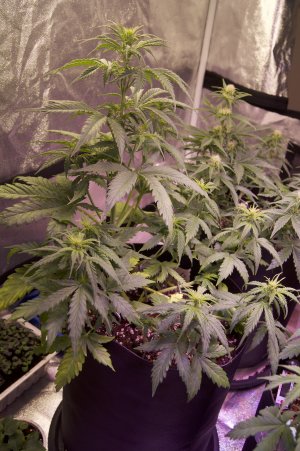 DSC04449.jpeg DSC04449.jpeg