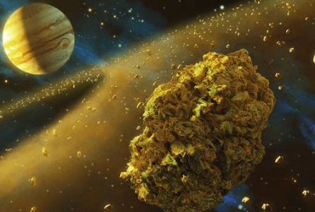 Творческий потенциал и марихуана Творческий потенциал и марихуана