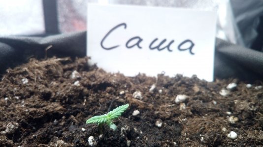 07.03.23 (2).jpg 07.03.23 (2).jpg