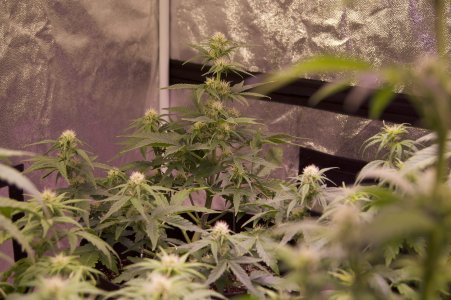 DSC04471.jpeg DSC04471.jpeg