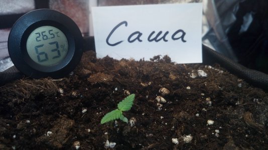 08.03.23 (3).jpg 08.03.23 (3).jpg