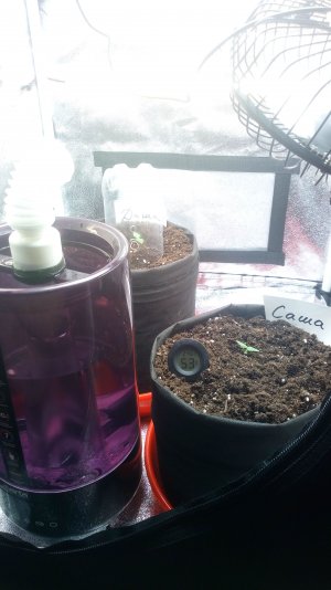 08.03.23 (5).jpg 08.03.23 (5).jpg