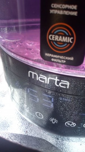 08.03.23 (6).jpg 08.03.23 (6).jpg