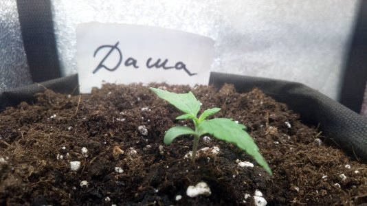 09.03.23 (1).jpg 09.03.23 (1).jpg