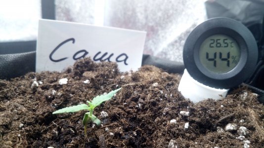 09.03.23 (2).jpg 09.03.23 (2).jpg