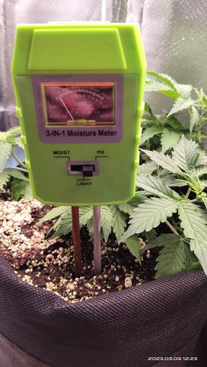 IMG_20230309_122357.jpg IMG_20230309_122357.jpg