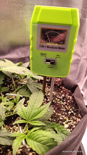 IMG_20230309_122334.jpg IMG_20230309_122334.jpg