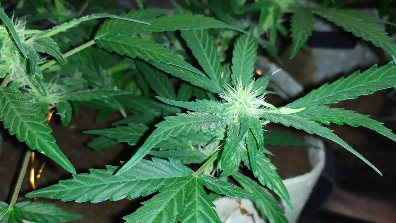 photo_2023-03-10_16-59-22 (2).jpg