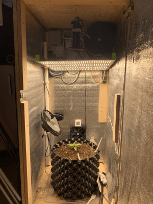 1678463045261.png 1678463045261.png