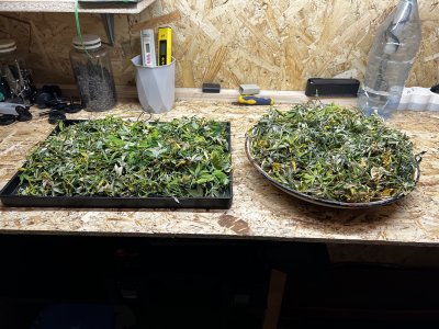 F6D6144C-ADD8-4352-AF54-6090872CAFD8.jpeg F6D6144C-ADD8-4352-AF54-6090872CAFD8.jpeg