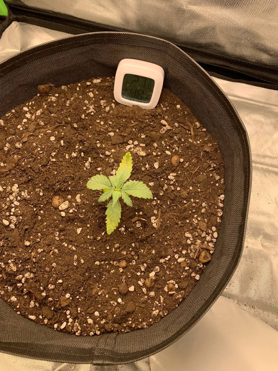 photo_5222446375717947169_y.jpg photo_5222446375717947169_y.jpg