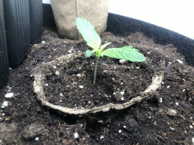 9DE455D9-CA65-470A-ADBA-D5524FD64F9B.jpeg 9DE455D9-CA65-470A-ADBA-D5524FD64F9B.jpeg