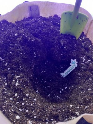 20230317_101825.jpg 20230317_101825.jpg